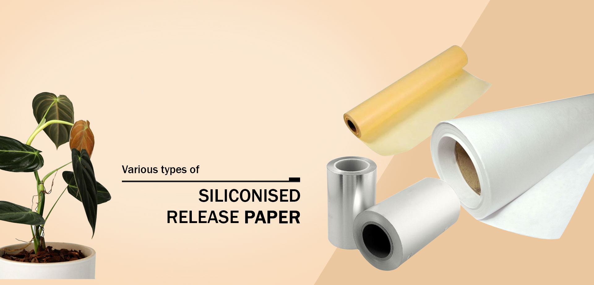 Slide background